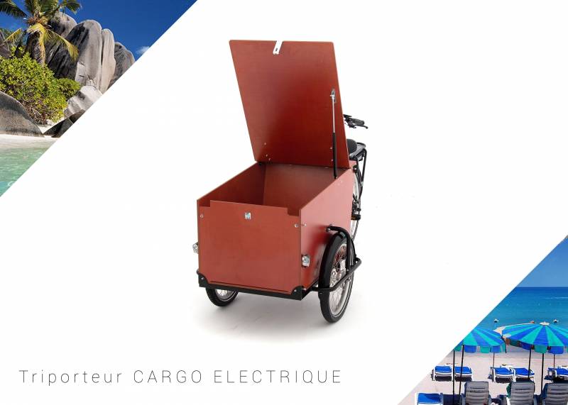 tarif vélo Triporteur avec assistance électrique pour le transport et la livraison de colis Nice