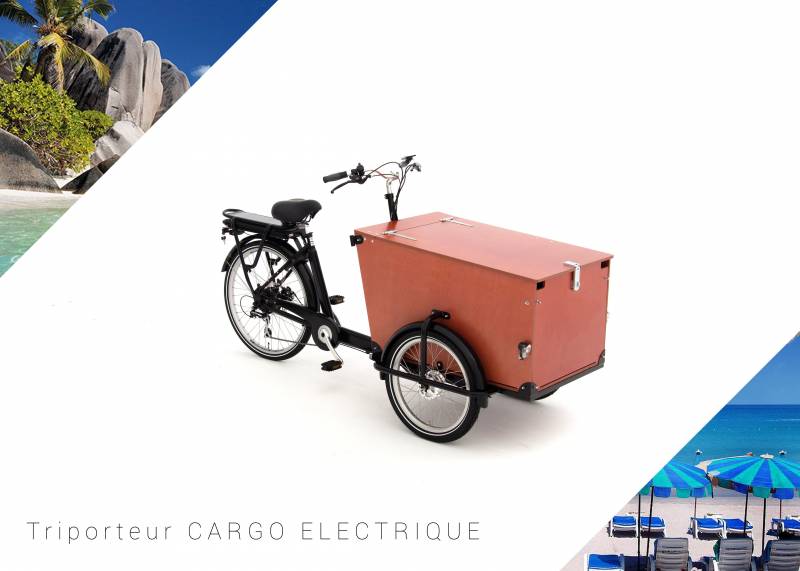 Information et prix vélo Triporteur cargo avec assistance électrique Lyon