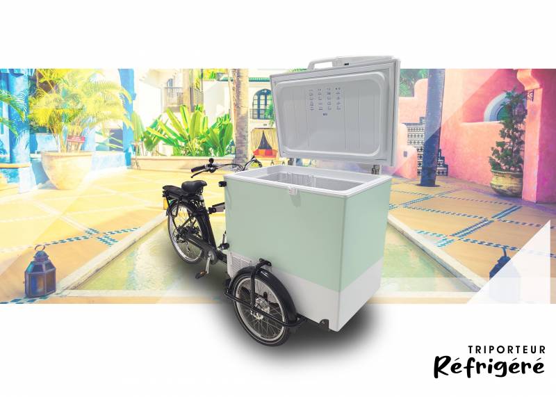 information et prix pour un financement de vélo triporteur électrique réfrigéré à Marseille 13