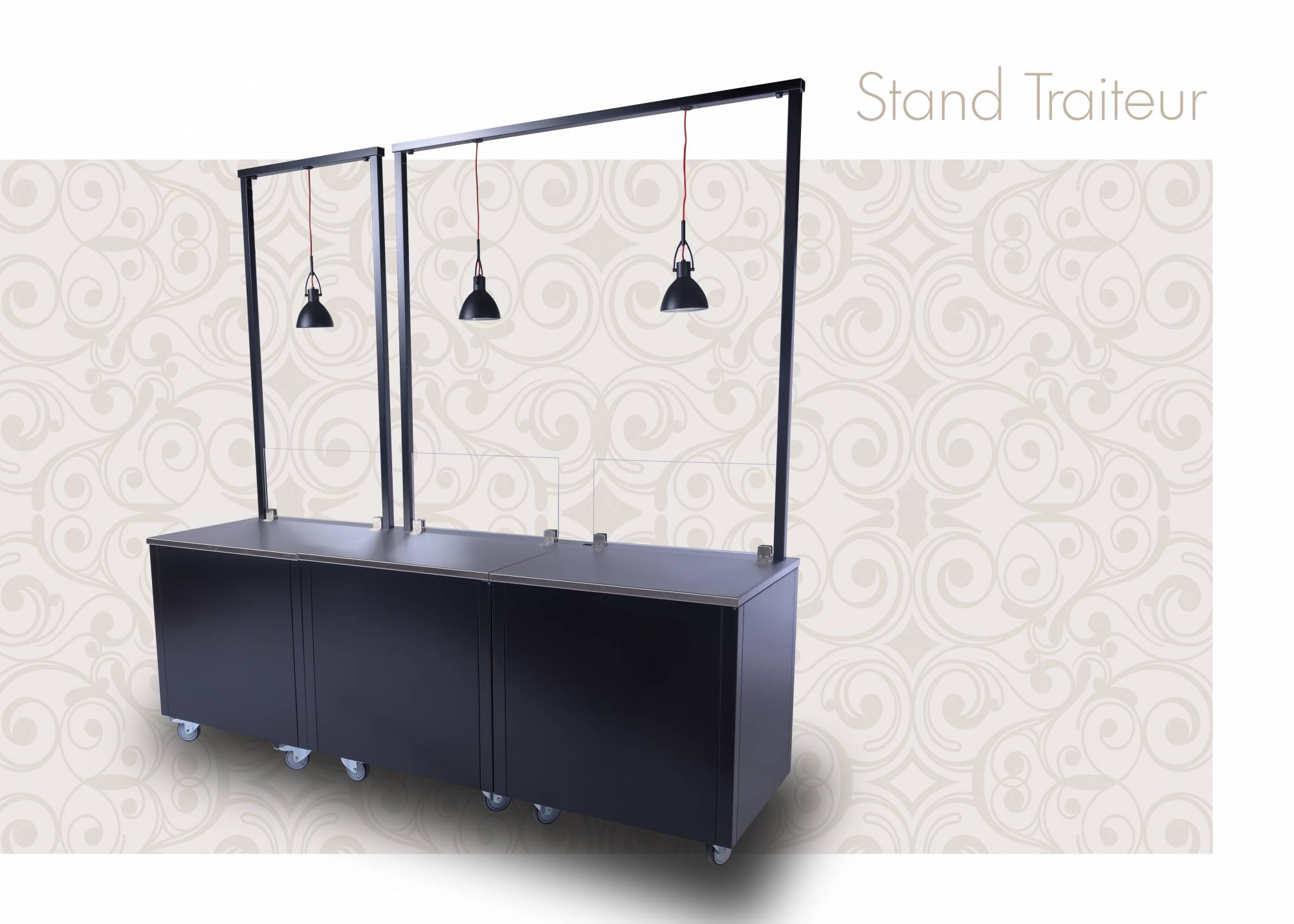 Cuisine mobile adaptable et personnalisables pour CHR  Grenoble