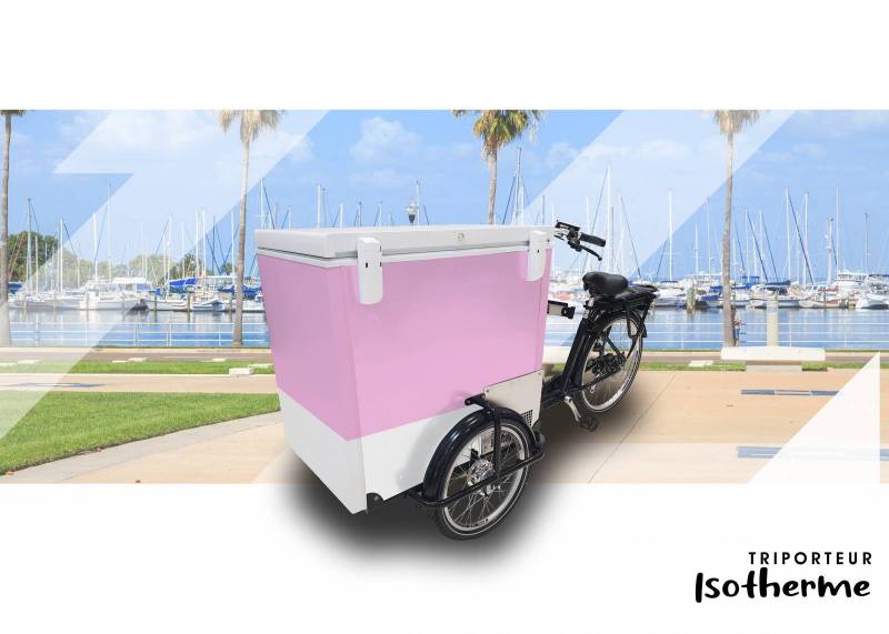 fournisseur de triporteur réfrigéré et design aux normes pour les professionnels à Dijon 21