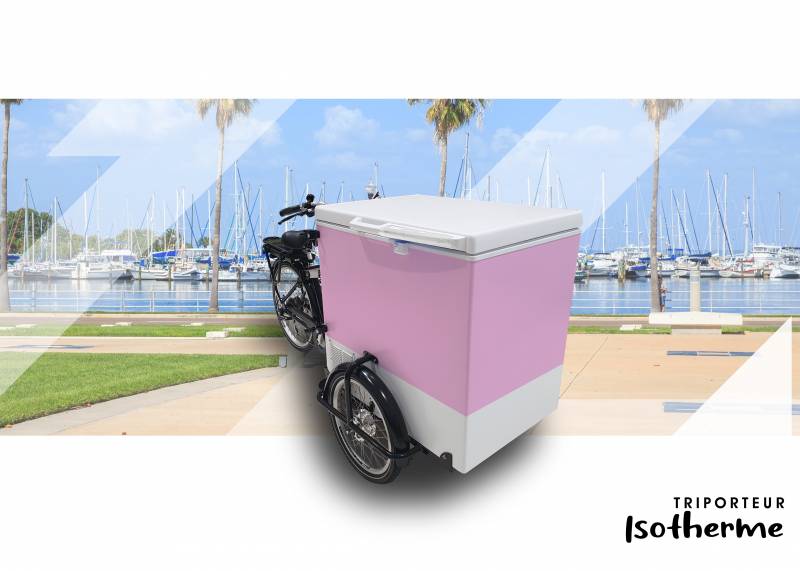 quels sont les meilleurs constructeur de vélo triporteur électrique isotherme pour les professionnels à Brest 29