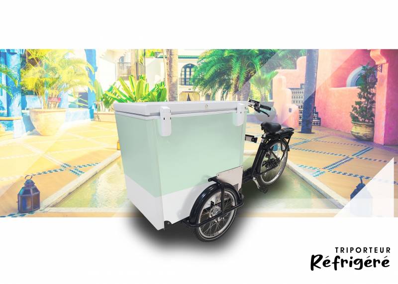 achat vélo triporteur réfrigéré avec assistance électrique au pédalage à Toulouse 31
