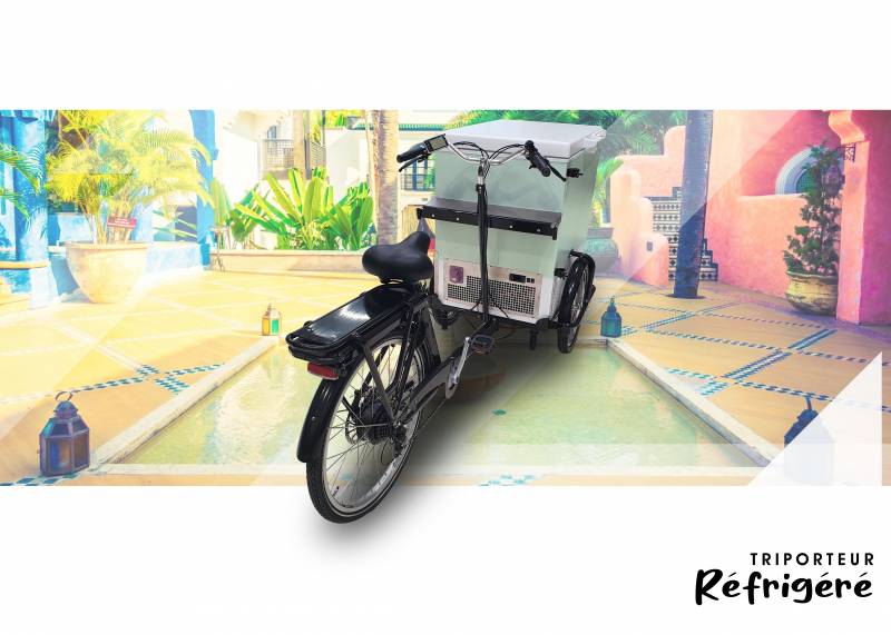 leader de la vente de vélo triporteur électrique réfrigéré puissant pour les professionnels de la livraison au Mans 72