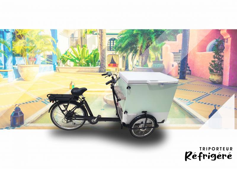 achat vélo triporteur électrique réfrigéré avec subvention pour le transport et la livraison à Lyon 69