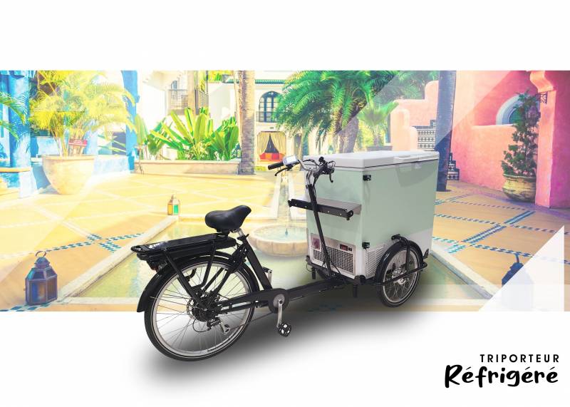 devis pour l’achat d’un vélo triporteur électrique réfrigéré autonome pour transport de marchandise à Nîmes 30