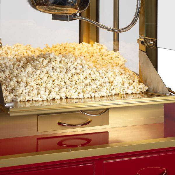 information et prix chariot type charrette tout équipée pour la vente de popcorn paris